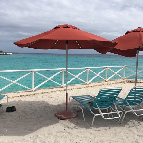 Meet your Posher, Flora - Picture 1 of 1